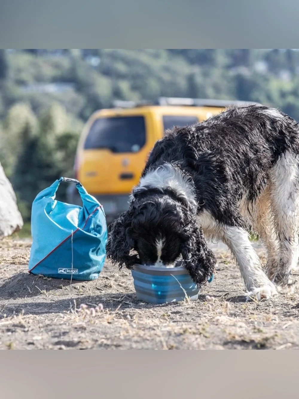 Kurgo kibble carrier